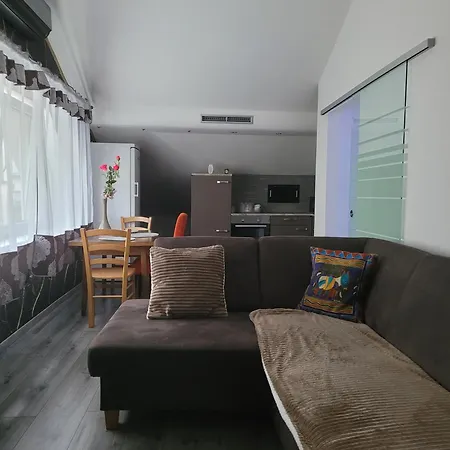 Ciubotaru Dumitru Apartman Bad Ischl