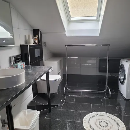 Ciubotaru Dumitru Apartman Bad Ischl
