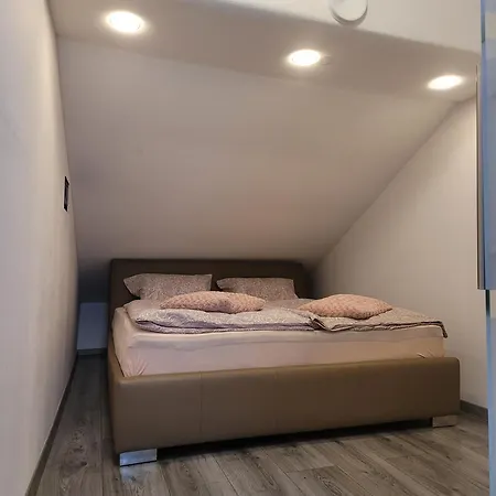 Apartman Ciubotaru Dumitru Bad Ischl